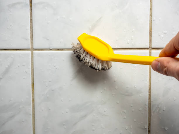 Best Local Mold Removal Service  in Roberts, WI