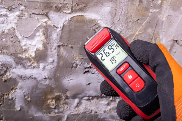 Best Attic Mold Removal  in Roberts, WI