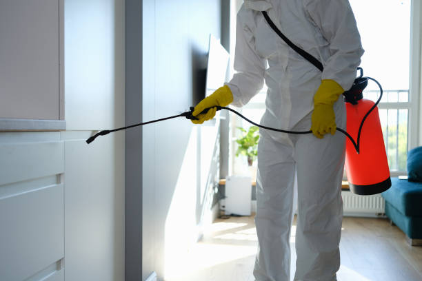 Attic Mold Removal in Roberts, WI