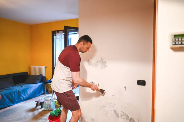 Best Mold Inspection  in Roberts, WI